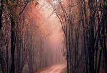 挪威轻取挑战冰岛艰标人力，胜利在望