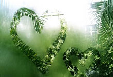 青岛黄海险胜对手，实力渐渐崭露头角