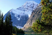 战术革新浪潮：当球队风格巨变遇上球员的闪电适应